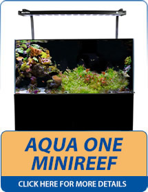 Aqua One MiniReef