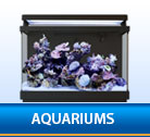 Display Aquariums
