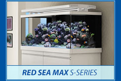 Red Sea S-Series