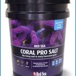 Three bucket of Corel pro salt with every order