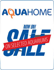 Sale on Aquariums