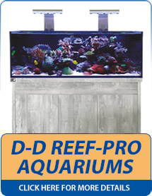 DD Reef-Pro Aquariums
